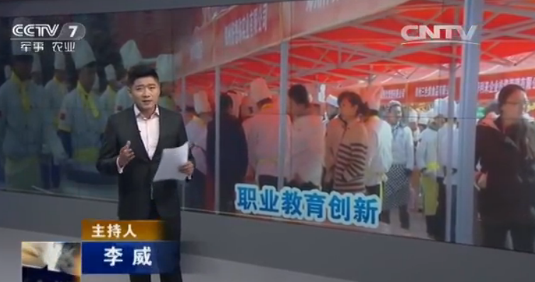 央视报道