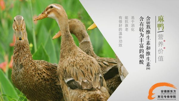 ϵ24â ÷꼾ʪȫTA 