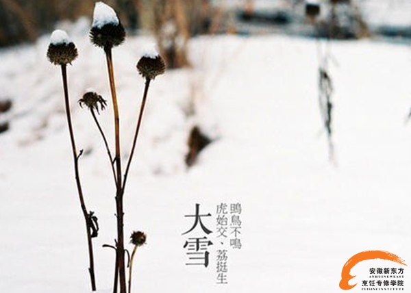 ϵ24ѩʲôʳ״󹫿