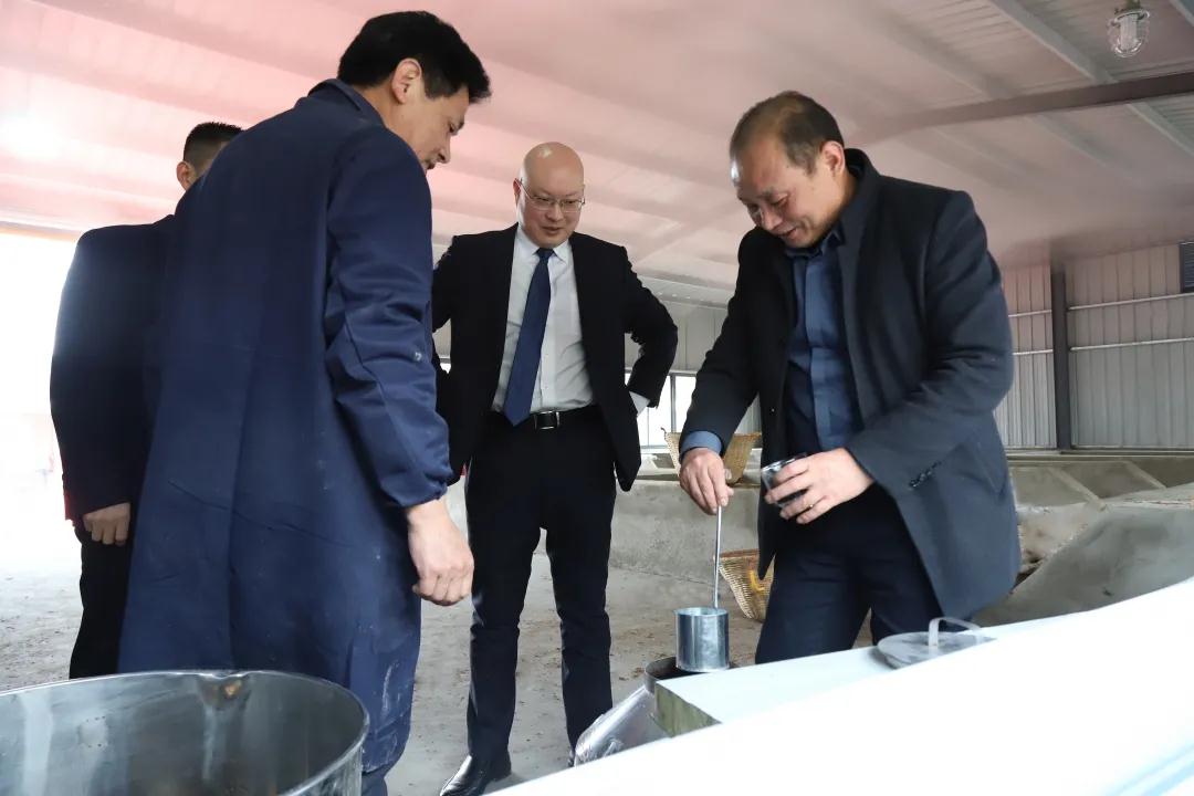 大事!安徽新东方酿酒专业首批原浆白酒诞生啦!
