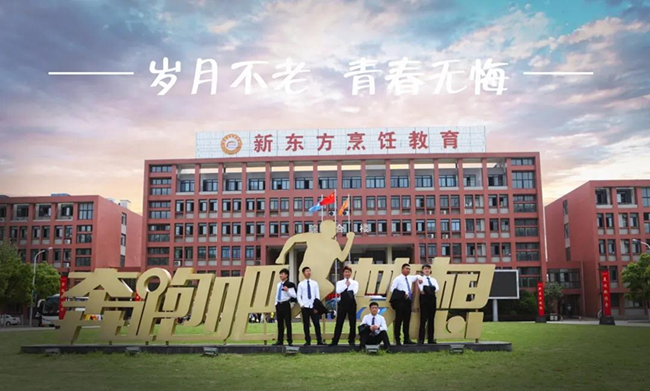 实力绽放,央视主持人点赞新东方学子