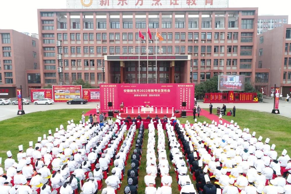 【新专业,新发展】安徽新东方新专业发布会圆满举行!