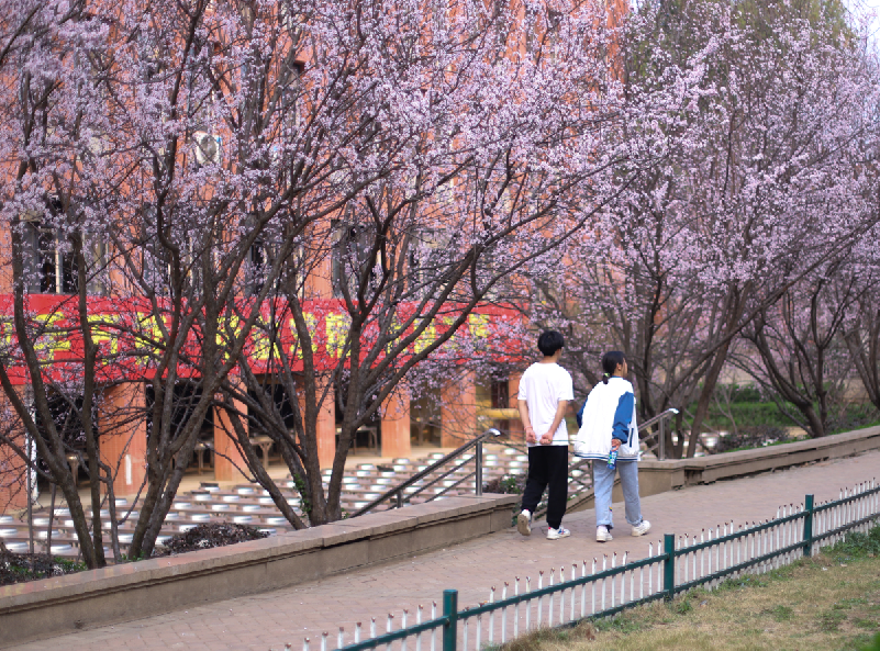 春天快乐,一起来感受安徽新东方的校园春景