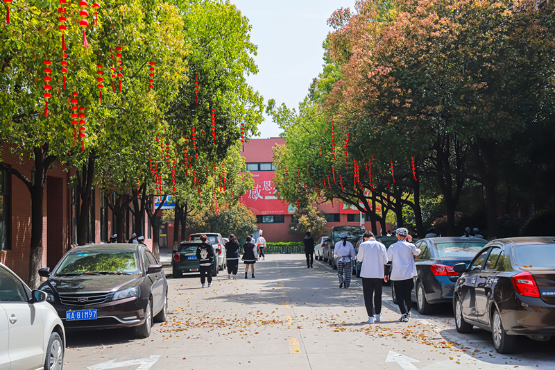 线上参观报名通道已开启,专业课程老师帮你择校