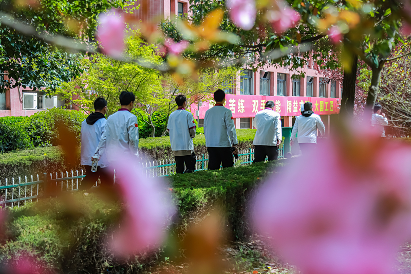 线上参观报名通道已开启,专业课程老师帮你择校