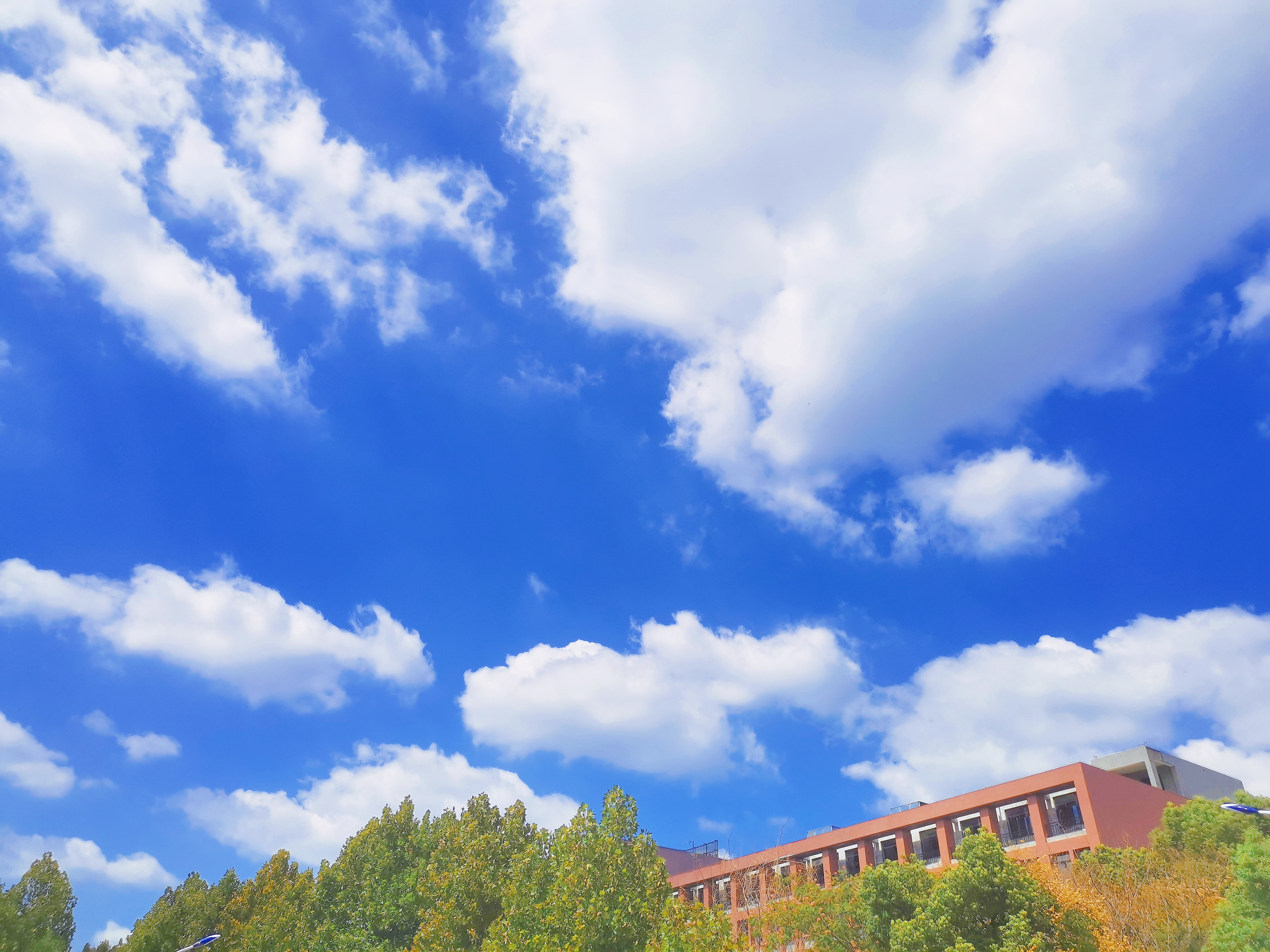 【秋日限定】初秋的校园