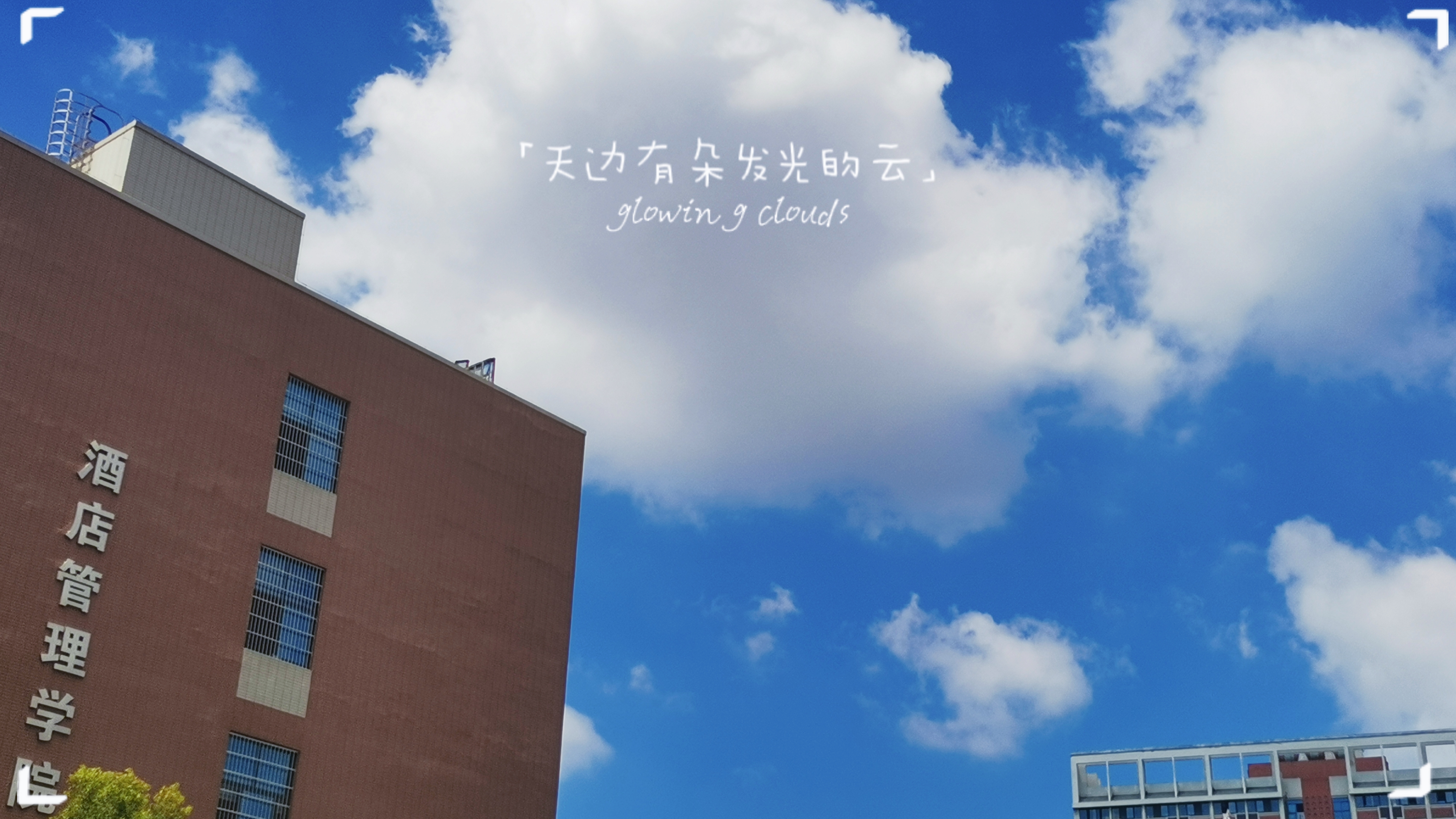 【秋日限定】初秋的校园